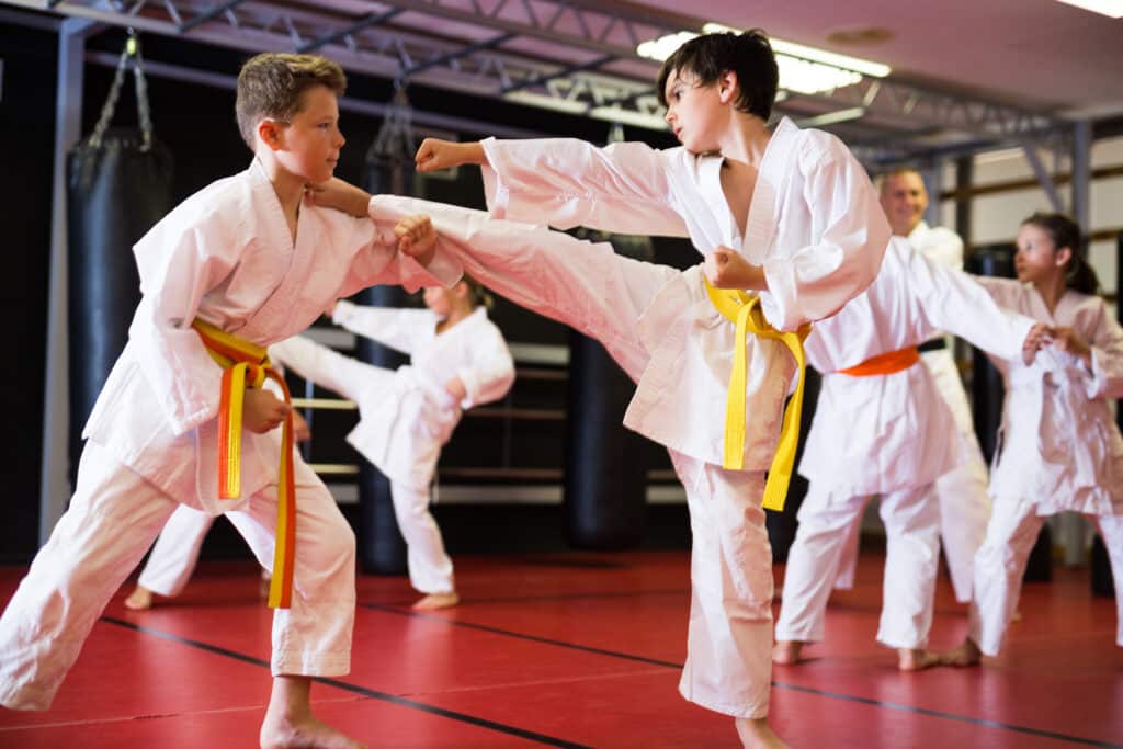 karate classes for kids burlington